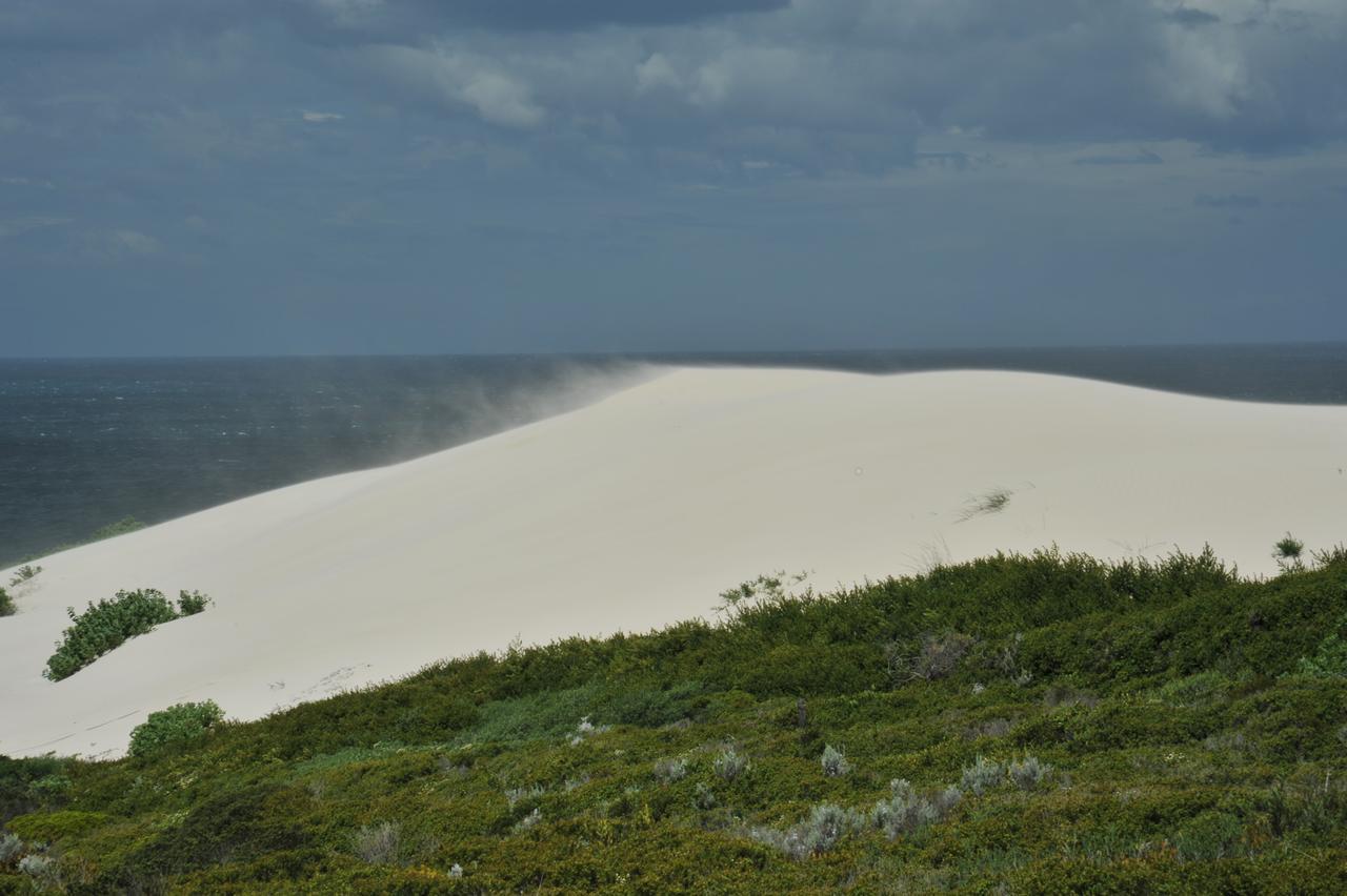 De Hoop Collection Suites De Hoop Nature Reserve Exterior foto