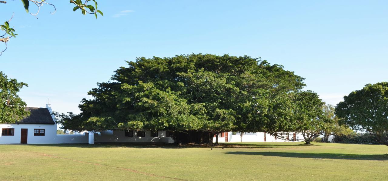 De Hoop Collection Suites De Hoop Nature Reserve Exterior foto