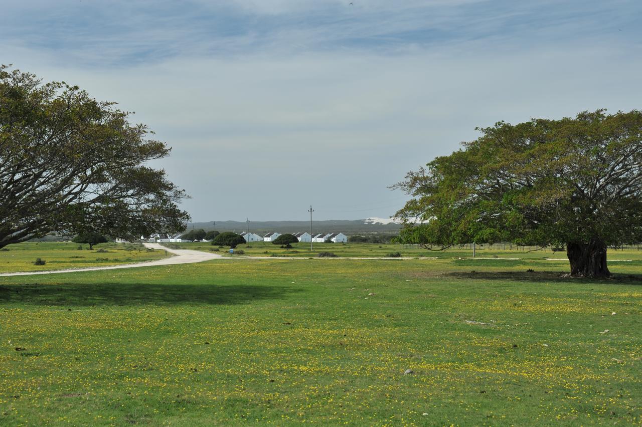 De Hoop Collection Suites De Hoop Nature Reserve Exterior foto